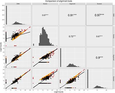 Systematic computational hunting for small RNAs derived from ncRNAs during dengue virus infection in endothelial HMEC-1 cells